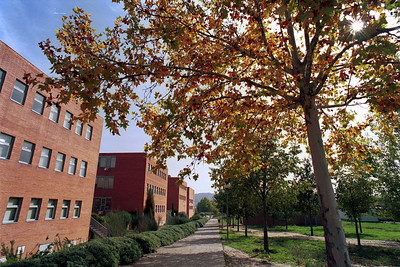campus universitario de la UAH